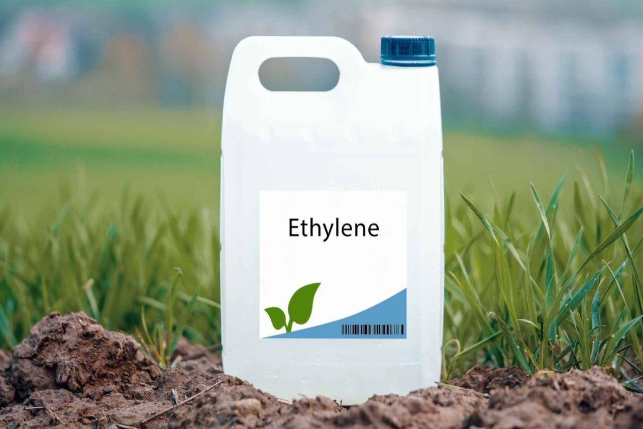 Global Ethylene Demand Rises, India Expands Capacity, Prices Drop Sharply in 2018-2025